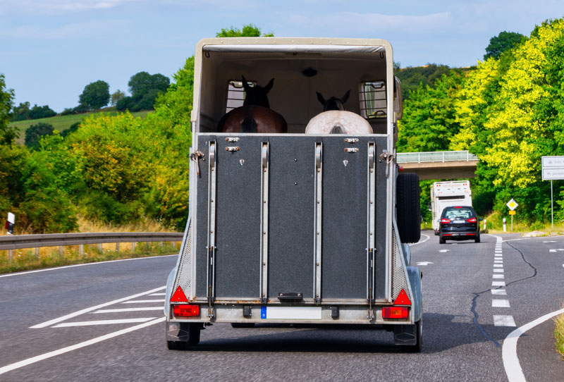 Complete RV offers parts and accessories for horse trailers.